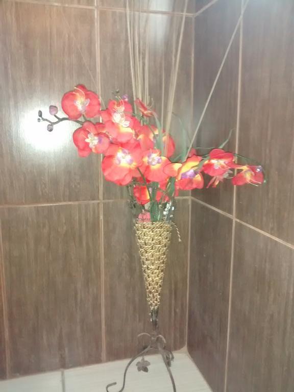 Família Flores *